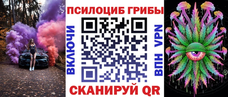 Галлюциногенные грибы Psilocybe Правдинск